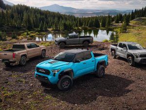 Cuatro camionetas Toyota Tacoma aparcadas en el bosque.