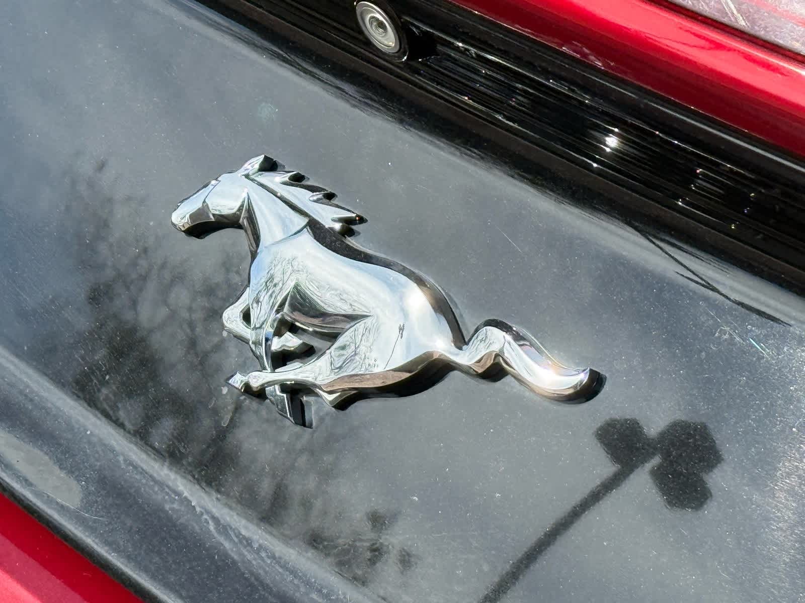 Ford Mustang EcoBoost Premium 2016