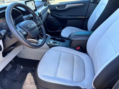 Ford Escape Active 2024