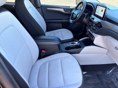Ford Escape Active 2024