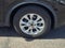 Ford Escape Active 2023