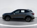 Ford Escape ST-Line Select 2025