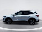 Ford Escape ST-Line Select 2025