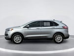 Ford Edge SEL 2024