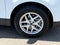 Ford Edge SEL 2024