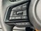 Subaru Outback Wilderness 2025