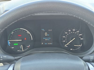 Toyota Sienna XLE 2024