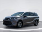 Toyota Sienna XLE 2024