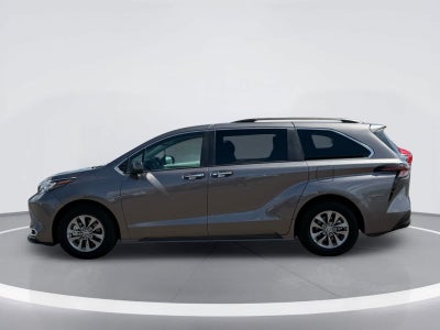 Toyota Sienna XLE 2024