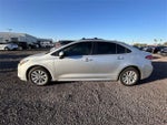 Toyota Corolla Hybrid LE 2024