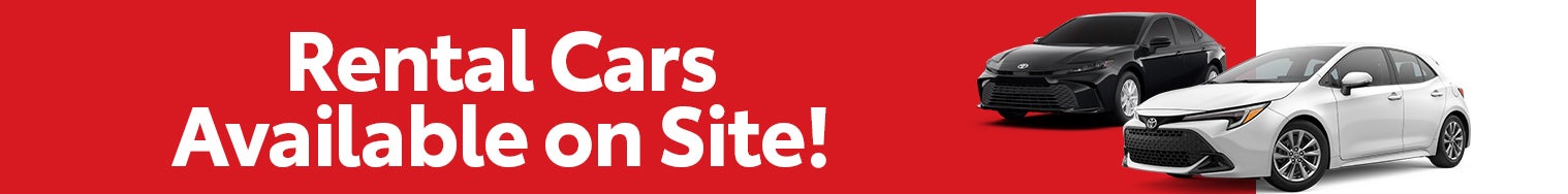 ¡Coches de alquiler disponibles en el lugar!