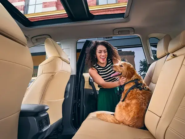 Interior del Toyota RAV4 Hybrid 2025